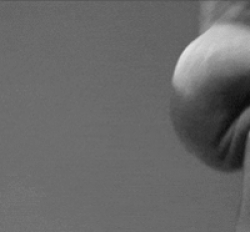 Blowjob, penis licking